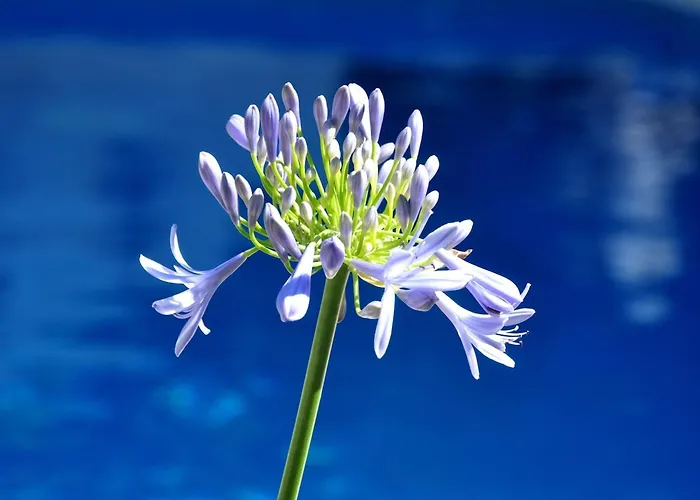 Thedreamhouse Chlorinefree Heated Pool Artvillage Koskinou (Rhodes)