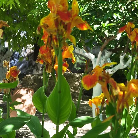 Thedreamhouse Chlorinefree Heated Pool Artvillage *