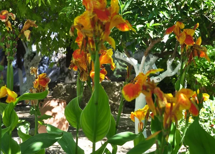 Thedreamhouse Chlorinefree Heated Pool Artvillage *